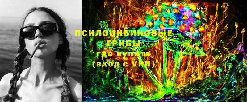 Псилоцибиновые грибы Psilocybe  Карасук 