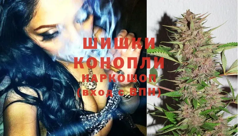 купить   Карасук  Шишки марихуана SATIVA & INDICA 